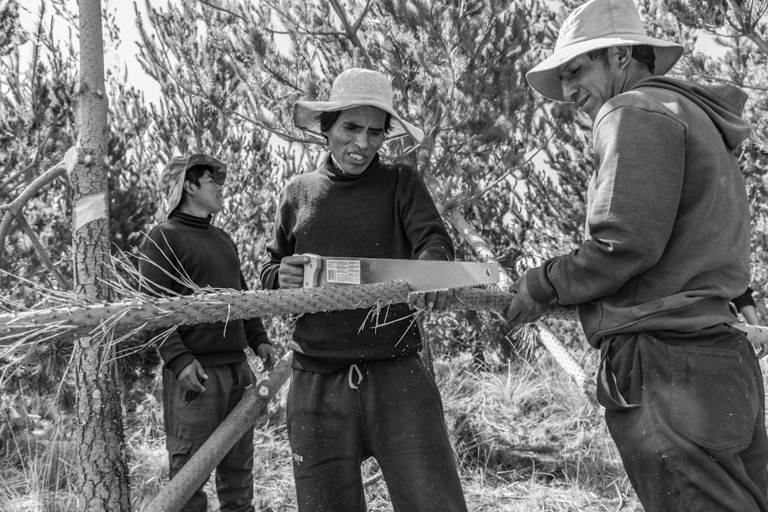 INVENTARIO FORESTAL
